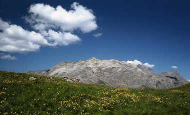 La montagna d'estate