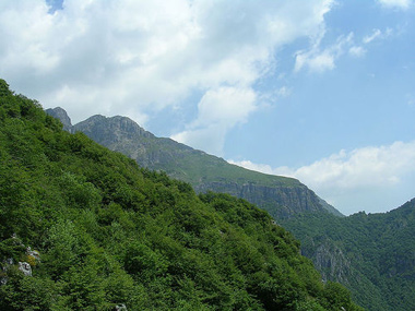 I verdi boschi della montagna