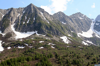 Foto estate