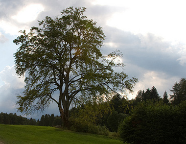 La natura di questa valle
