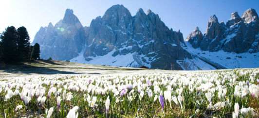 Ponte del 25 Aprile in montagna