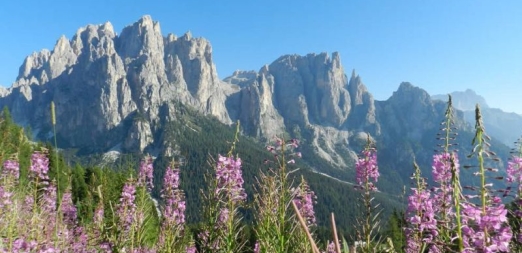 1° Maggio in montagna: lo spettacolo della primavera