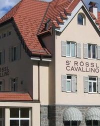 s.Rossl Cavallino