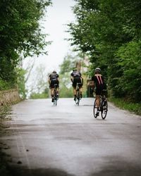 giro in bicicletta del cansiglio