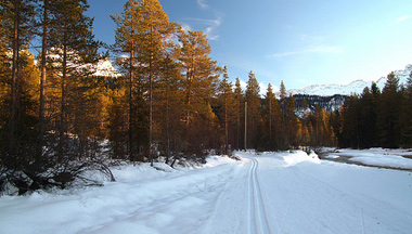 Piste da fondo in Alta Badia