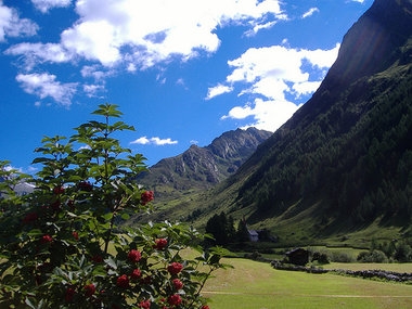 alberghi estivi in cadore