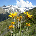 valle d'aosta