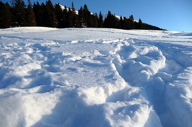 Una nevicata abbondante