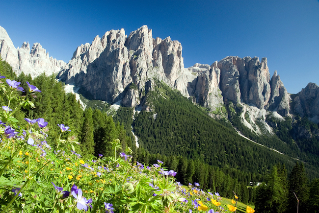 vacanze estive in val di sole