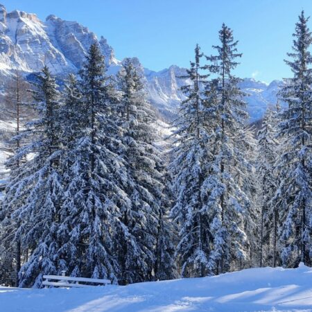 Immagine montagna innevata